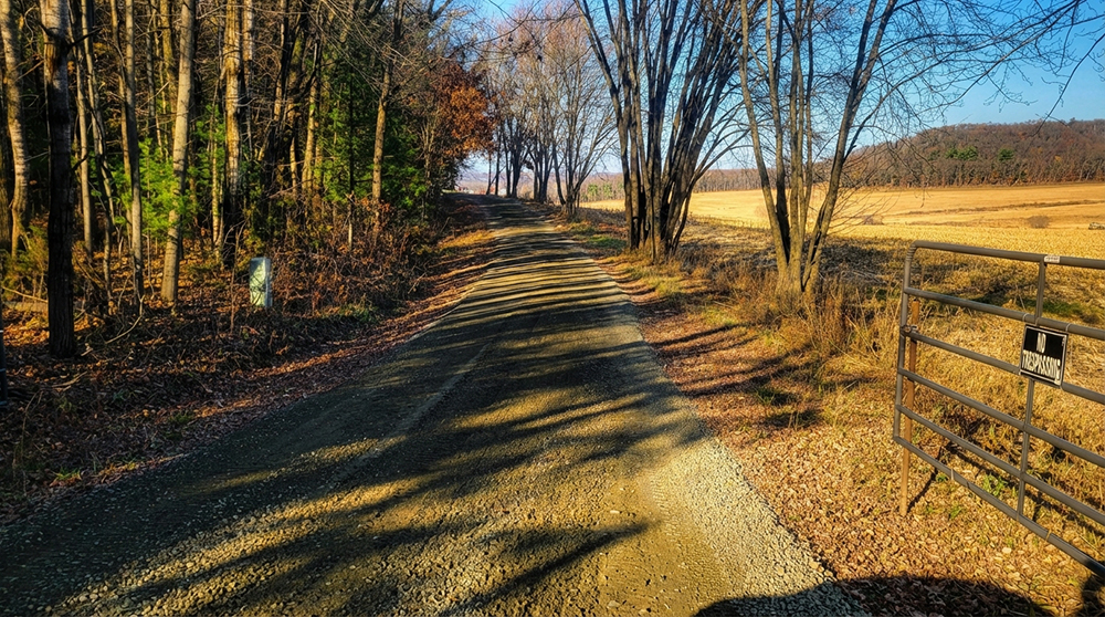 Gravel driveway resurfacing project